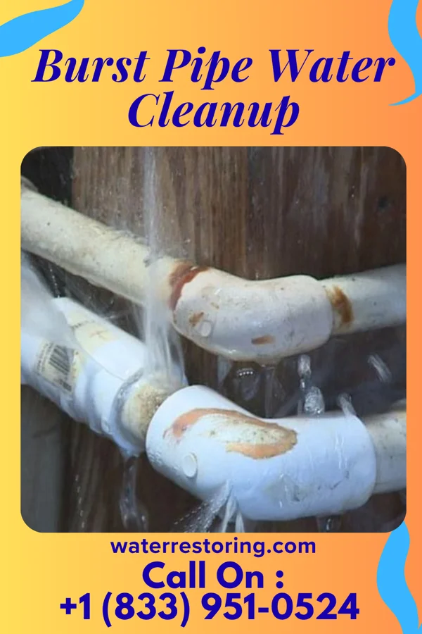 Burst Pipe Water Cleanup in New Richmond, IN