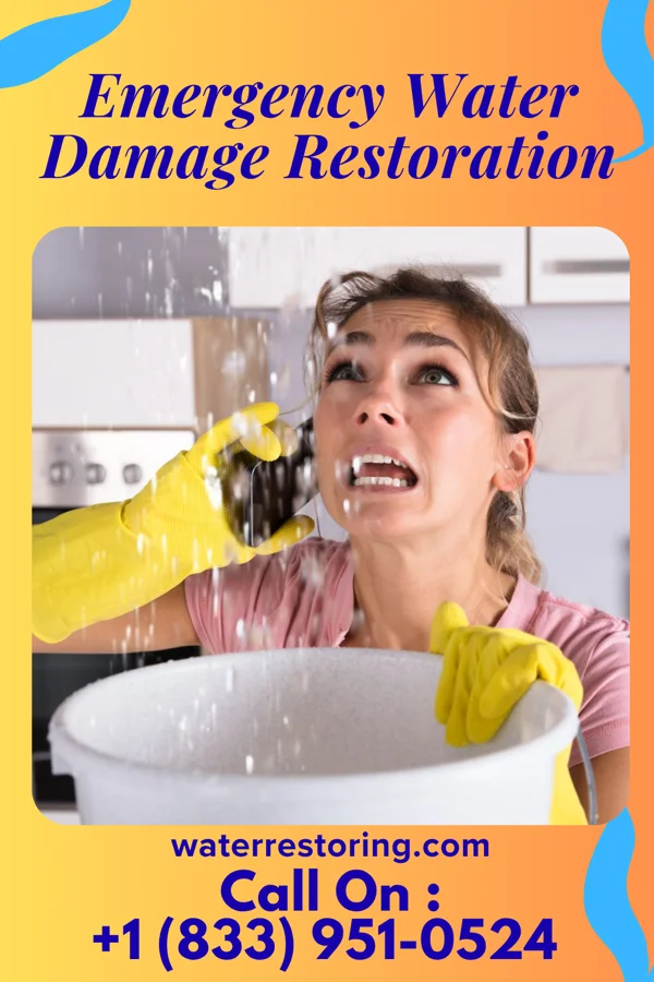 Emergency Water Damage Restoration in New Richmond, IN