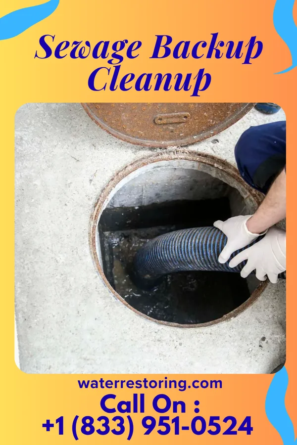 Sewage Backup Cleanup in New Richmond, IN